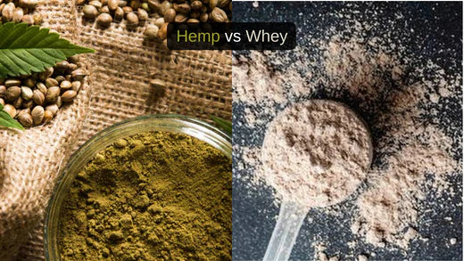 Why you should ditch Whey and shift to Hemp?